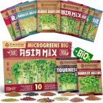 Kalanka - zengreens - graines germes bio en kit de asia - mix - graines germes - 10 varits de graines ...