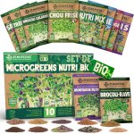 Kalanka - zengreensâ® - graines germées bio en kit de nutri - mix - graines germées - 10 variétés de ... Kalanka - zengreensâ® - graines germées bio en kit de nutri - mix - graines germées - 10 variétés de ...