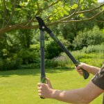 Kinzo s�cateur de jardin 5178cm ¿ coupe branche t�lescopique - taille - haie manuel ¿ s�cateur t�lescope ...