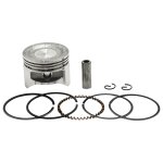 Kit d'anneaux de piston 39mm, pour honda gx35 gx 35 gx35nt hht35s umk35, moteur 4 temps, débroussailleuse ... Kit d'anneaux de piston 39mm, pour honda gx35 gx 35 gx35nt hht35s umk35, moteur 4 temps, débroussailleuse ...