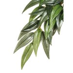 Kit de d�coration ruscus plante exo terra