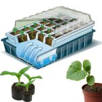 Kit de germination 40 godets lot x2 pour semis Kit de germination 40 godets lot x2 pour semis