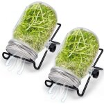 Kit germination graines 2 bocaux en verre avec passoires acier inoxydable + supports, mini - jardin cuisine ...