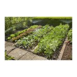 Kit d'initiation micro - drip system pour potagers et massifs