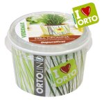 Kit ortolino - no name - erba cipollina - vasetto pp  11cm x h 7cm - terriccio in fibra di cocco - semi ...