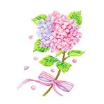 Kits de points de croix imprims fleurs 11ct, bricolage, fil ecologique en coton, ensembles de broderie, ...