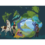 Komar - poster g�ant intiss� raiponce - 350 x 280 cm