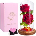 Kyaoayo - rose eternelle sous cloche, la belle et la bte, fleur avec lumire led, abat - jour en verre, ...