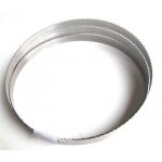 Lame pour scie � grumes bbs350 - bsb350b25 holzmann