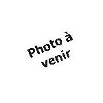 Lame soufflante pour tondeuse 530 mm honda 2160 - d14 72511vb3e40 honda