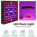 Lampe de culture horticole � led - cultivez des plantes saines en int�rieur - panneau led horticole - ...