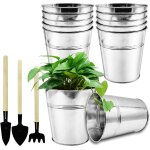 Lbgwp60 - lot de 12 pots de fleurs en métal galvanisé de 12 cm avec mini outils pour plantes, herbes, ... Lbgwp60 - lot de 12 pots de fleurs en métal galvanisé de 12 cm avec mini outils pour plantes, herbes, ...