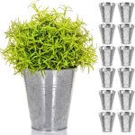 Lbgwp60 - lot de 12 pots de fleurs en métal galvanisé résistant aux intempéries pour l'intérieur ou l'extérieu ... Lbgwp60 - lot de 12 pots de fleurs en métal galvanisé résistant aux intempéries pour l'intérieur ou l'extérieu ...