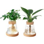 Lbgwp60 - lot de 2 pots de fleurs en verre avec couvercle en lige et support en bambou pour culture ...