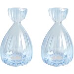 Lbgwp60 - lot de 2 vases hydroponiques en verre pour semences d'avocat, pots de fleurs pour plantes d'avocat, ...