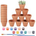 Lbgwp60 - lot de 20 pot en terre cuite, mini pot de fleur avec des peintures et des pinceaux, petite ...