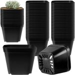 Lbgwp60 - 50 pices pots pour semis 10cm pots de ppinire pot de fleur plastique rutilisables carr ...