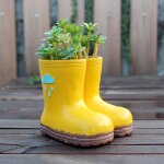 Lbgwp60 - bottes de pluie, pot de fleurs, bottes de pluie, pots de pluie, pots de fleurs, pots de fleurs, ...