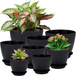 Lbgwp60 - fleurs en plastique, 8 pots de fleurs avec trou, soucoupes rondes, petits cactus, set a herbes, ... Lbgwp60 - fleurs en plastique, 8 pots de fleurs avec trou, soucoupes rondes, petits cactus, set a herbes, ...