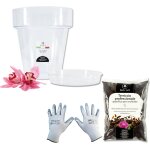 Lbgwp60 - kit de rempotage pour orchides pot transparent pour orchides, 4 trous de drainage et soucoupe ...