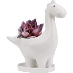 Lbgwp60 - pot ceramique succulente avec soucoupe, fleur cactus forme de dinosaure, mini interieur pot ...