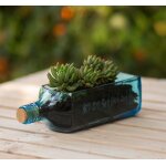 Lbgwp60 - pot de fleurs en verre bleu recycl avec tourbe de coco et bton support pour plantes succulentes ...