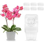 Lbgwp60 - pot orchide transparent 6 pices cache - pot 10cm pot de fleur interieur pots de fleurs avec ...