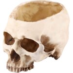 Lbgwp60 - skull plant pot, cache pot tête de mort, vase tête de mort, décoration de bol de bonbons d'halloween ... Lbgwp60 - skull plant pot, cache pot tête de mort, vase tête de mort, décoration de bol de bonbons d'halloween ...