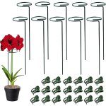 Letnerny - 10 pcs tuteur plante orchidée 30cm, tuteur plante intérieur plastique, bâtons support de plantes, ... Letnerny - 10 pcs tuteur plante orchidée 30cm, tuteur plante intérieur plastique, bâtons support de plantes, ...