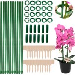 Letnerny - 20pcs tuteur plante interieur, 30cm tuteurs pour plantes exterieur, tuteur orchidee et plantes ... Letnerny - 20pcs tuteur plante interieur, 30cm tuteurs pour plantes exterieur, tuteur orchidee et plantes ...