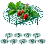 Letnerny - support pour fra s, lot de 10, protection contre pourriture, limaces, pour fraisier, plastique, ... Letnerny - support pour fra s, lot de 10, protection contre pourriture, limaces, pour fraisier, plastique, ...