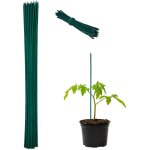 Letnerny - tuteur a tomates en bambou avec fil de fer, en lot de 50, pour les fleurs et les légumes, ... Letnerny - tuteur a tomates en bambou avec fil de fer, en lot de 50, pour les fleurs et les légumes, ...