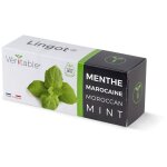Lingot menthe marocaine bio pour potager vritable