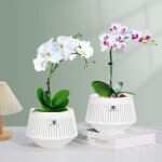 Lot de 1 pot a orchid�e d�coratif avec trous pour rempotage - 12 cm - avec elagage de l'air et bonne ...