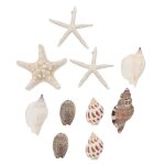 Lot de 10 autocollants magnetiques en forme de coquillage pour refrigerateur, decoration d'interieur, ...