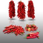 Lot de 100 graines a semer - le grenier d'abondance - fan de piments - 4 sachets individuels Lot de 100 graines a semer - le grenier d'abondance - fan de piments - 4 sachets individuels