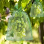 Lot de 100 sachets de protection en organza pour raisins, 30 x 20 cm / 23 x 17 cm, avec cordon de serrage, ...