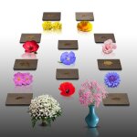 Lot de 1100 graines de fleurs a semer - le grenier d'abondance - hauteur 50 cm - 10 sachets individuels. ...