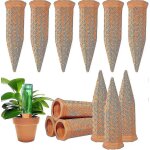 Lot de 12 pointes d'arrosage pour plantes en terre cuite, arroseur automatique pour plantes en bouteille ...