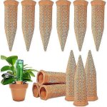 Lot de 12 pointes d'arrosage pour plantes, pointes d'arrosage pour plantes en terre cuite, bouteille ...