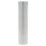 Lot de 2 cartouches jetables 5 microns anti - boue et particule - polar - cjfi5x2