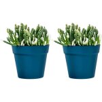 Lot de 2 pots de fleurs muraux en plastique pour balcon de jardin intérieur et extérieur blanc crème ... Lot de 2 pots de fleurs muraux en plastique pour balcon de jardin intérieur et extérieur blanc crème ...