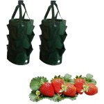 Lot de 2 sacs de plantation verts a 8 trous pour fraisiers, pommes de terre, tomates et fleurs, id�aux ...