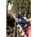 Lot de 2 scateurs : lame franche, lame enclume - suan