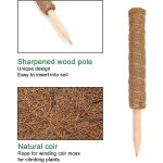 Lot de 2 tuteurs extensibles plantes grimpantes 2025 - mousse coco - jardinage