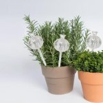 Lot de 3 boules d'arrosage en verre pour plantes en pot - pour les vacances - systme d'arrosage automatique ...