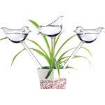 Lot de 3 globes d'arrosage en verre ahhute avec pics anti - oiseaux auto - arrosants pour plantes d'int�rieur ...