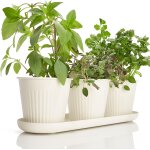 Lot de 3 magnifiques pots modernes pour herbes aromatiques d'intérieur, pour le rebord de fenêtre ou ... Lot de 3 magnifiques pots modernes pour herbes aromatiques d'intérieur, pour le rebord de fenêtre ou ...