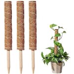 Lot de 3 tuteurs extensibles pour plantes grimpantes en noix de coco 40 cm