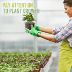 Lot de 30 pots a orchid�es en plastique transparent de 7, 62 cm avec trous, adapt�s pour le rempotage ...